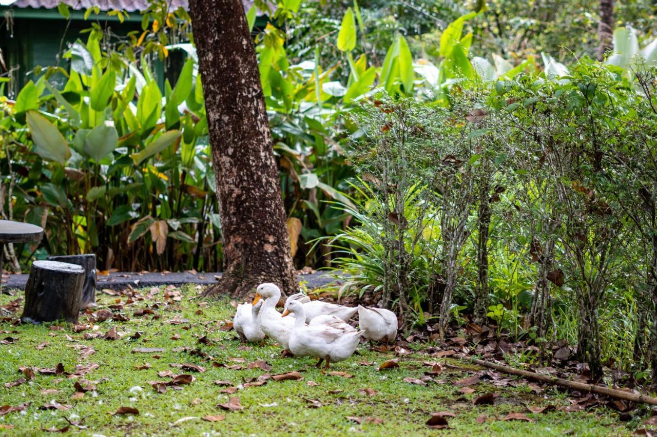 Blu Monkey Pooltara Krabi Hotel & Villas Pet Friendly Exterior photo