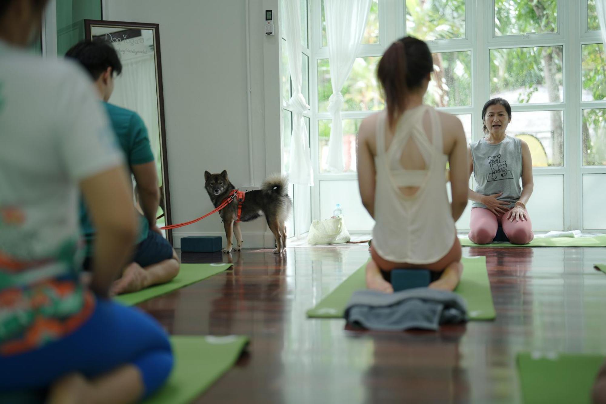 Blu Monkey Pooltara Krabi Hotel & Villas Pet Friendly Exterior photo